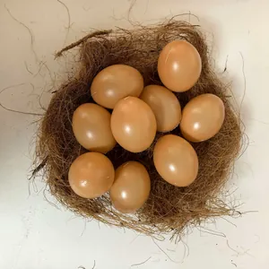 Close-up of 6cm artificial Easter eggs in a brown coconut fiber bird nest for DIY.