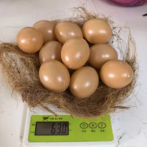 Detailed view of 10 simulation eggs and nest set weighing 63g on a scale
