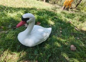 Detailed view of a realistic white swan garden ornament placed on lush green grass outdoors