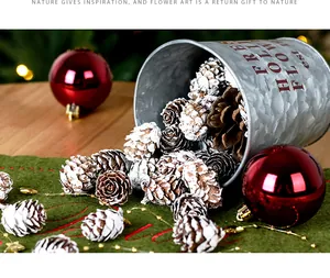 Detailopname van witte natuurlijke dennenappels voor kerstboomversiering en DIY decor