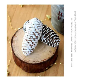 Gedetailleerde macro-opname van wit geverfde dennenappels voor kerst DIY decoraties