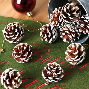 Natuurlijke Dennenappels Met Witte Punten Sneeuweffect Voor Kerstboom Decoratie DIY Craft Krans Vakantie Huis Decoratie Prop