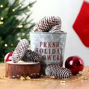 Natuurlijke dennenappels met witte puntjes voor kerstversiering en DIY projecten