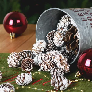 Natuurlijke dennenappels met wit sneeuweffect voor kerst DIY knutselen en decoratie.