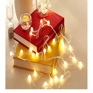 Vista dettagliata di luci a stringa LED decorative a sfera bianco caldo drappeggiate sui libri