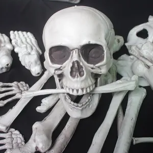 28-piece realistic human skeleton prop set for Halloween haunt decor
