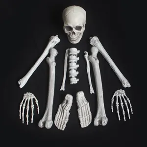 28-piece realistic Halloween human skeleton bones set for haunted house decoration