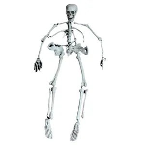 Realistic 28-piece life-size skeleton bone set for Halloween haunted house decor