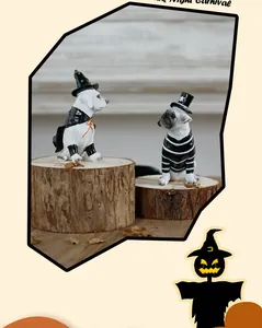 Halloween resin dog figurines in spooky costumes for festive home decor