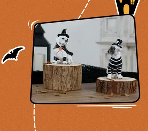 Resin Halloween puppy figurines dressed in witch and striped costumes on wood bases