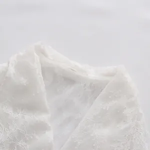 Nahaufnahme des eleganten weißen Spitzenkragens an einem transparenten Damenhemd.