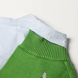 Detailopname van Franse stijl groene gebreide trui en blauwe overhemdkraag detail