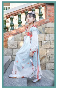 Elegant traditional girl's embroidered shoes paired with a light blue Hanfu dress