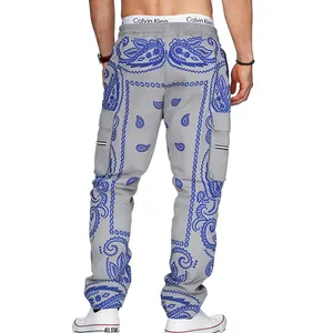 Rear view of grey cargo pants featuring vibrant blue paisley print and multiple pockets