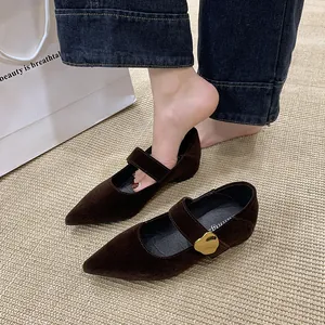 Detailansicht brauner Wildleder-Mary-Jane-Schuhe mit eleganter goldener Schnalle.