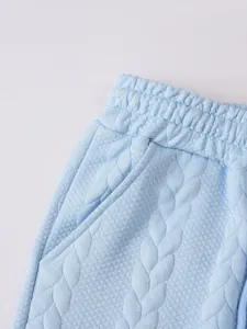 Macro-weergave van lichtblauwe casual herenshorts met details van getextureerde jacquardstof