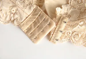Close-up of the back three-row hook and eye closure on a lace bandeau bra.
