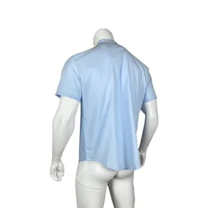 Vue arrière détaillée d'une chemise bleu clair à manches courtes et col officier sur mannequin