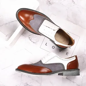 Vue de dessus de chaussures Brogue pour hommes tricolores avec détails perforés élégants