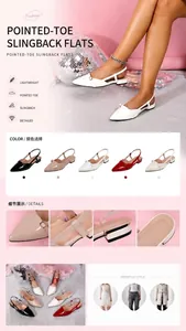 Detailed view of pointed-toe slingback flats showing colors, adjustable buckles, and heels.