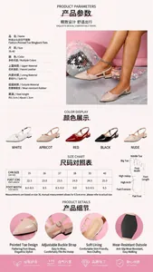Pointed toe slingback flats for women with adjustable ankle strap and low heel