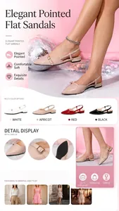 Detailed showcase of elegant French style pointed toe flat sandals with adjustable ankle straps