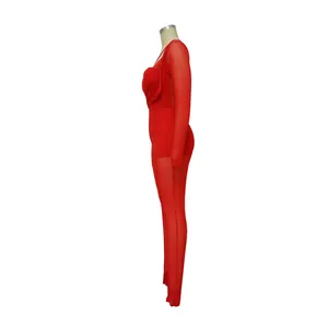Vue latérale détaillée d'une combinaison rouge sexy en mesh transparent à manches