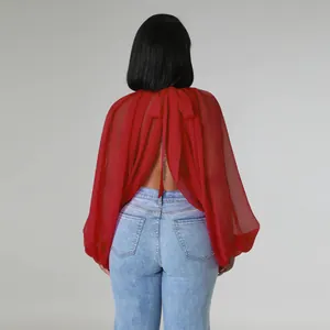 Vista posteriore di una camicetta in chiffon rosso elegante con maniche a lanterna