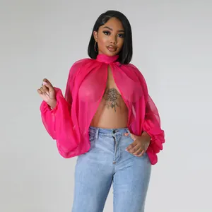 Dettaglio di un top in chiffon rosa trasparente con maniche a pipistrello e collo alto