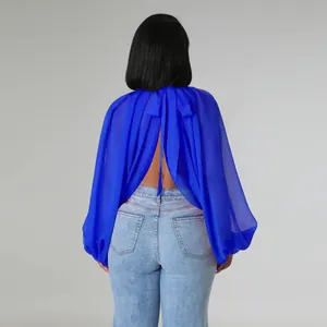 Vista posteriore di un'elegante camicetta in chiffon blu con maniche e fiocco sul retro.