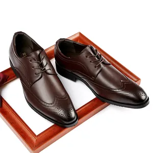 Classic brown leather brogue wingtip dress shoes for men displayed in a wooden frame