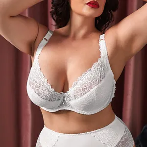 Dettaglio in pizzo floreale bianco su un reggiseno push-up sexy taglie forti per donna