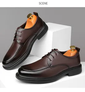 Scene view of elegant brown men's business dress shoes on white display blocks