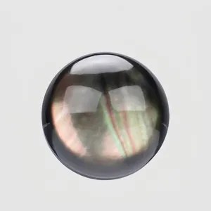 Botones de Concha de Labio Negro Naturales Irisados Nácar Cierres Redondos para Abrigo Chaqueta de Visón Accesorios de Costura