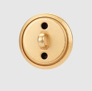 Macro detail showing the texture and shank design of a premium vintage brass metal button