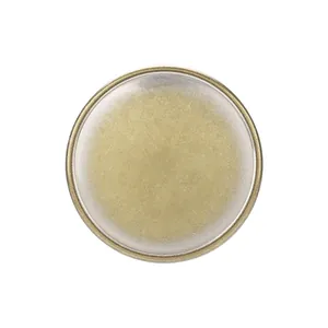 High-quality vintage round brass button with brushed metal texture for sewing apparel