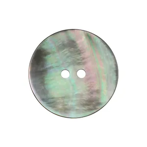 High-end Japanese iridescent mother-of-pearl decorative shell button with two-hole design