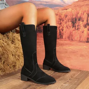 Detail of black suede knee-high boots with pointed toe and chunky heel in autumn scene
