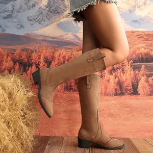 Stylish tan suede knee-high boots for women featuring a pointed toe and low block heel