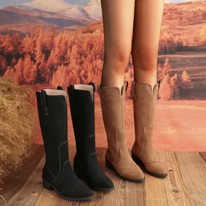 Detail of suede pointed toe knee-high boots with square heel in autumn scene.