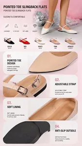Elegant pointed toe slingback flats with adjustable double buckles and anti-slip soles