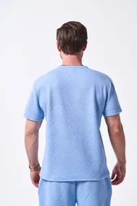 Rückansicht von Herren hellblauem Strick-Jacquard-T-Shirt mit strukturiertem Muster