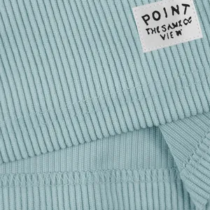 Close-up of light blue corduroy fabric texture and sewn-on decorative patch for men's shorts