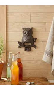 Vue détaillée d'un décapsuleur hibou vintage en fonte monté sur un mur en bois rustique