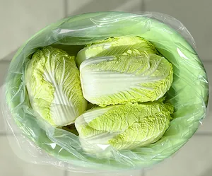 Macro view of large transparent food-grade plastic storage bag for pickling cabbage