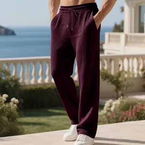 Λεπτομερής άποψη του ανδρικού βαρέος πλισέ casual παντελονιού σε σκούρο μοβ χρώμα