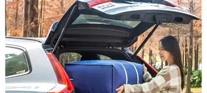 Blue large capacity storage bag being placed in a car trunk for moving clothes.