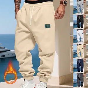 Casual men's fleece-lined joggers with drawstring waist and thermal flame detail