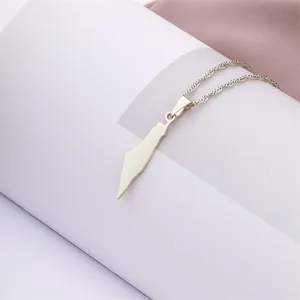 Macro-detail van een minimalistische roestvrijstalen Palestina kaart hanger ketting op wit