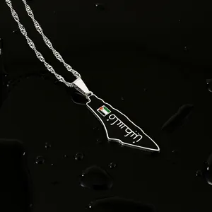 Gedetailleerd overzicht van roestvrijstalen ketting met kaart van Palestina hanger
